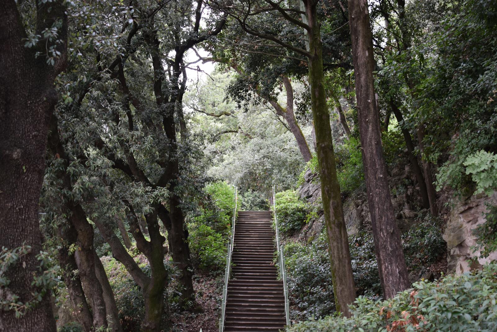 Monte-escalier mobile